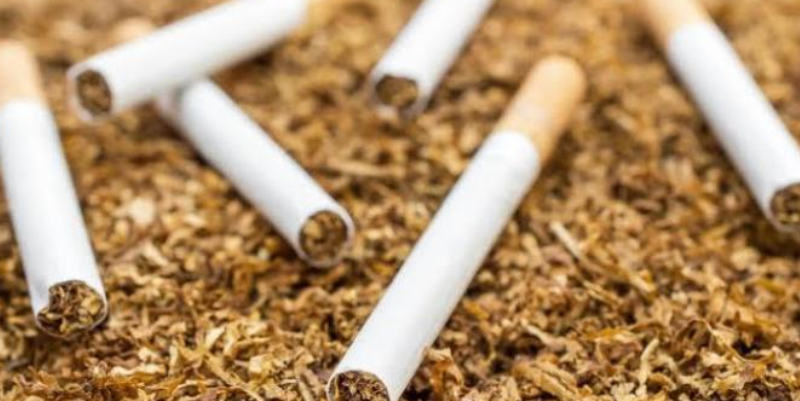 Sejarah Panjang Rokok Tembakau Di Dunia